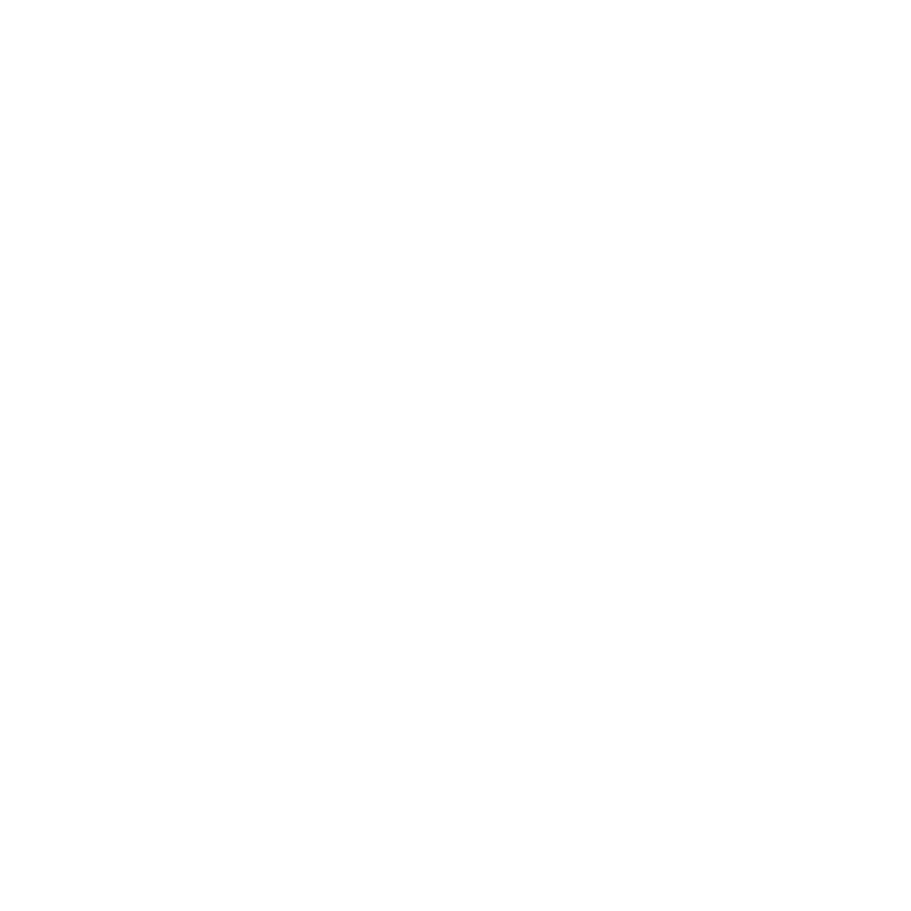 Numfount Evidence logo
